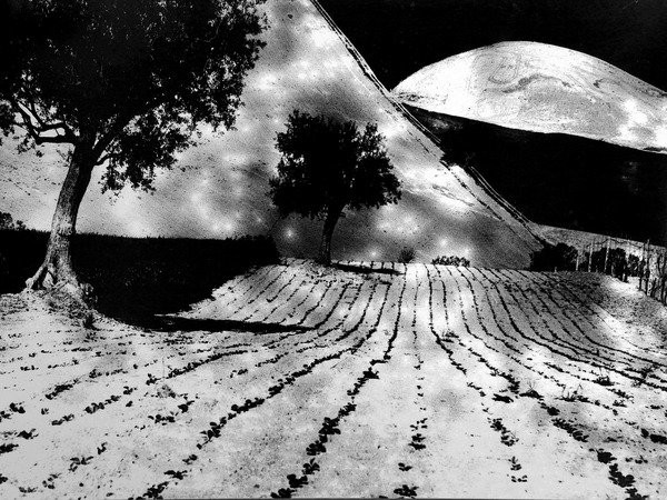 La natura obliqua, Il Chiostro Arte Contemporanea, Saronno (VA)