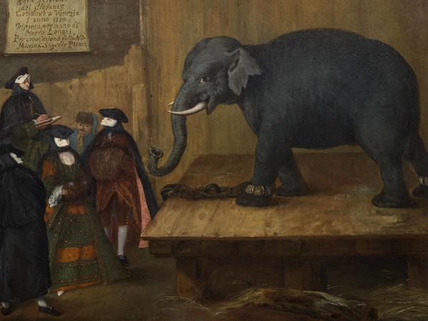 Pietro Longhi, L’Elefante, 1774, Olio su tela, 62 x 50.1 cm, Collezione Intesa Sanpaolo Gallerie d'Italia - Palazzo Leoni Montanari, Vicenza