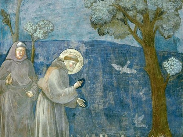 Francesco d’Assisi e il ciclo di Giotto: la Basilica Superiore di Assisi