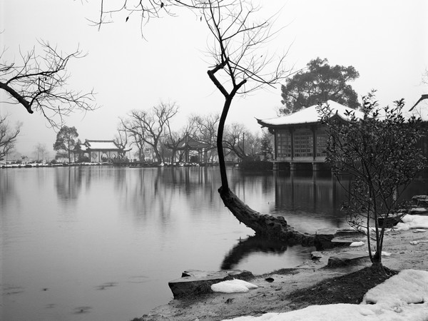 Andrea Cavazzuti, Hangzhou, 1983