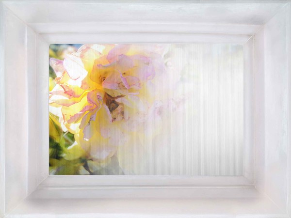Chiara Dynys, Poisoned Flowers, 2015, cm 65x85x12, fusione in metacrilato e stampa lenticolare di soggetto fotografico
