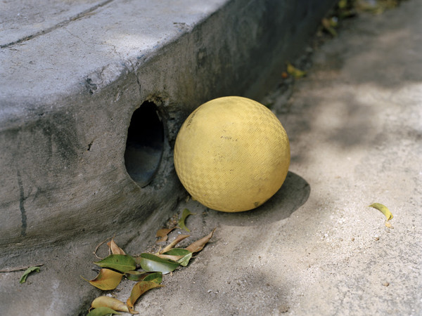 Jason Fulford & Tamara Shopsin. The Beach Ball and the Crab (Il pallone da spiaggia e il granchio)