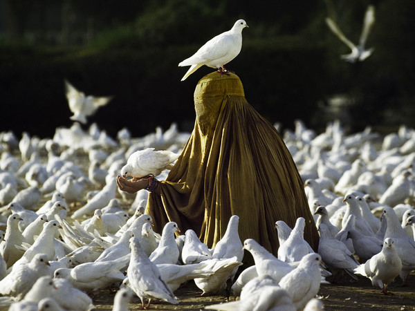 Steve McCurry, Afghanistan