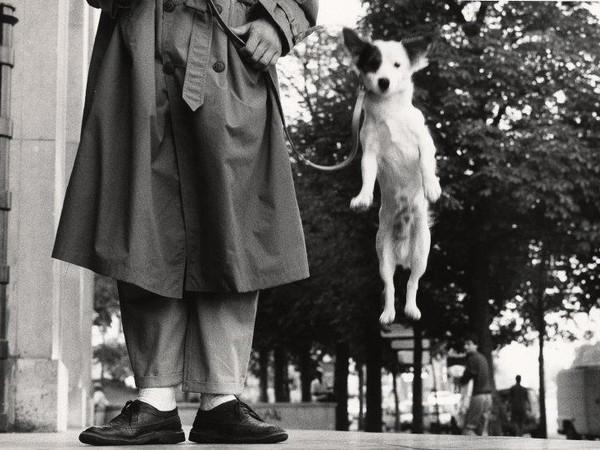 Elliott Erwitt, Paris, France, 1989, dettaglio