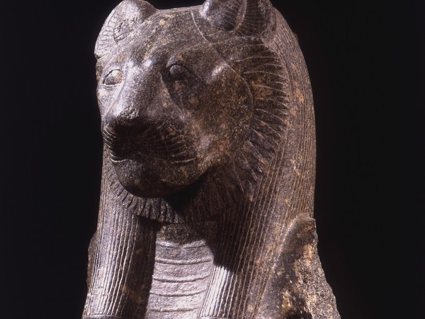 Busto della dea Sekhmet, XVIII dinastia, regno di Amenhotep III (1388-1351 a.C.), Tebe, Egitto. Collezione Palagi. Museo Civico Archeologico (Sezione Egizia), Bologna I Ph. Sergio Anelli