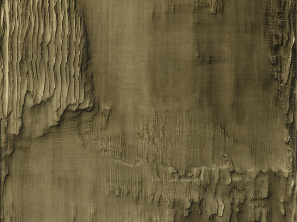 Giuseppe Adamo, Bark II, 2022. Acrilico su tela, 137x100 cm.