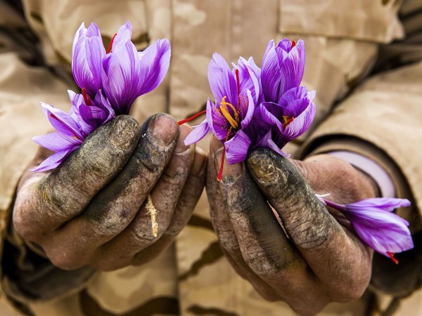 Farnaz Damnabi, Saffron worker, 2022. Courtesy of 29 ARTS IN PROGRESS gallery