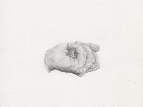 Giovanni De Lazzari, Senza Titolo, 37,5x33cm, pencil on paper, framed, 2012