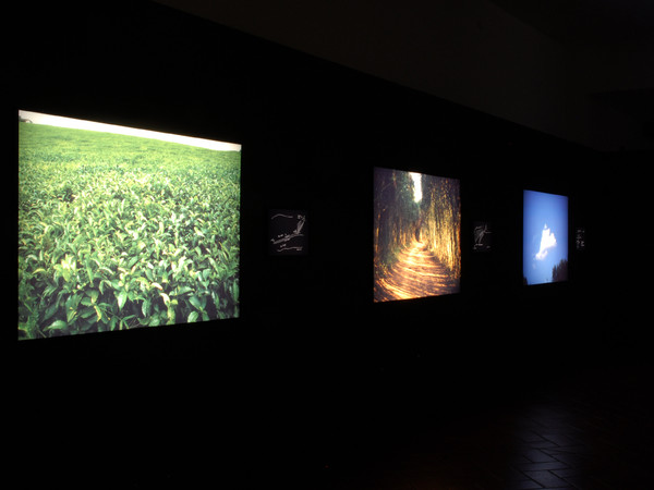 Alfredo Jaar, Field, Road, Cloud