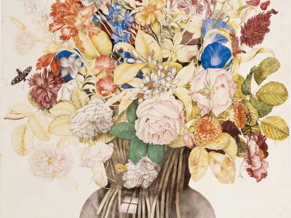 Pergamene fiorite. Pitture floreali nella Villa di Poggio a Caiano, Teatro del Rondò di Bacco, Firenze