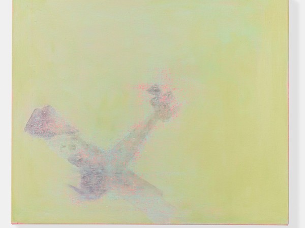 Rachel Howard, Crash (IG), 2017. Oil and acrylic on canvas, 53.3 x 63.5 cm.