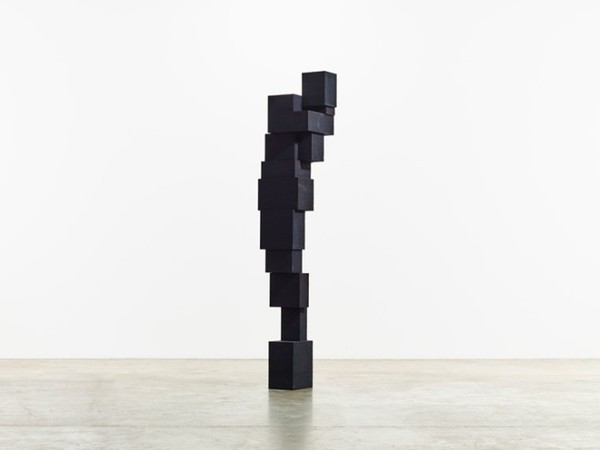 Antony Gormley, Human.