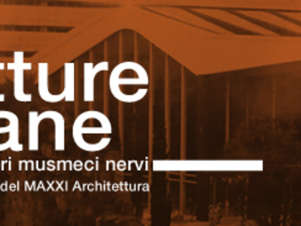 Strutture romane. Montuori Musumeci Nervi. Progetti dalle collezioni del MAXXI Architettura