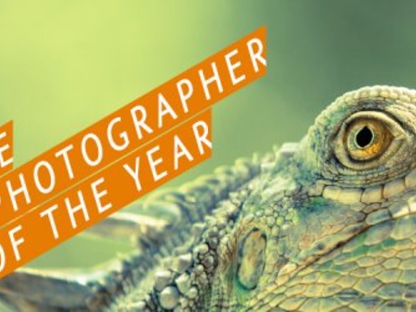 Wildlife Photographer of the Year 2015