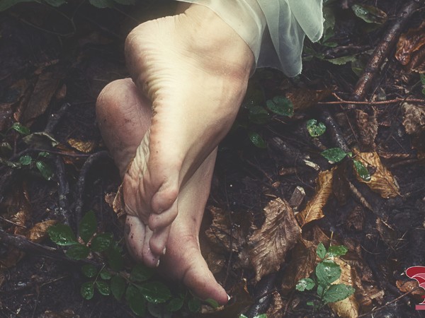 Il silenzio di Ophelia