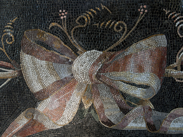 Section V.1, the mosaic with vine shoots