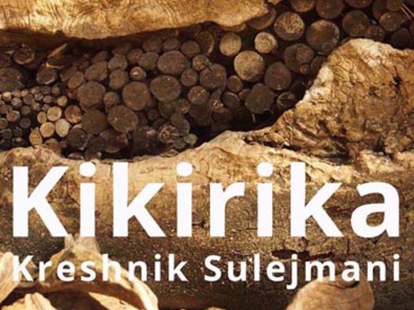 Kreshnik Sulejmani. Kikirika, La Fenice Gallery, Venezia