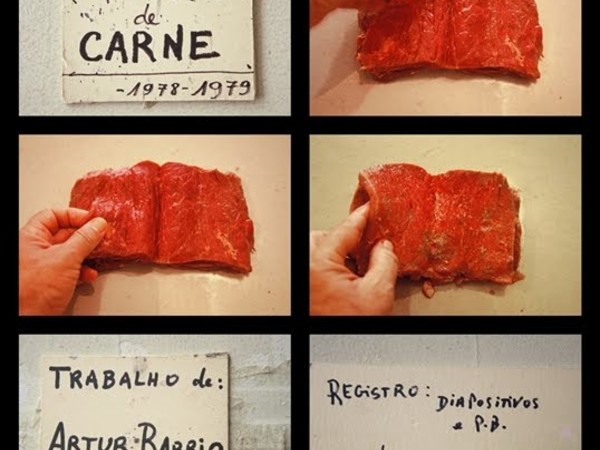 Artur Barrio, Livro de carne, 1978-79