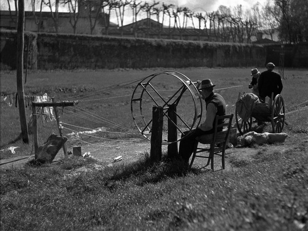 Lucca Città delle Mura, Villa Bottini, Lucca