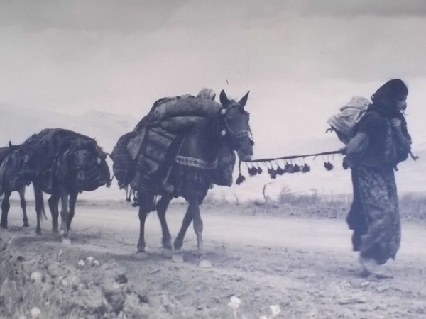 Adriano Paltrinieri, Haji Omran, Iraq, Nomade, 12 Aprile 1958