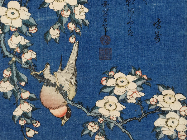 Katsushika Hokusai, Cardellino e ciliegio piangente, Dalla serie “Piccoli fiori”, 1832 circa, Silografia policroma, 25.1 x 18.2 cm, Honolulu Museum of Art | Courtesy of Palazzo Reale, Milano 2016