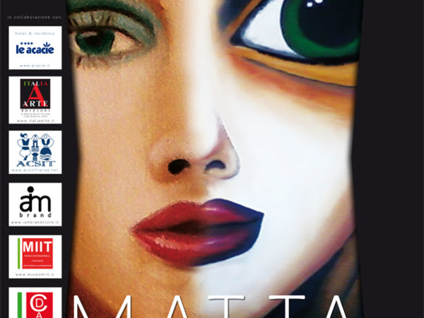 Matta 2004-2014, Museo MIIT, Torino