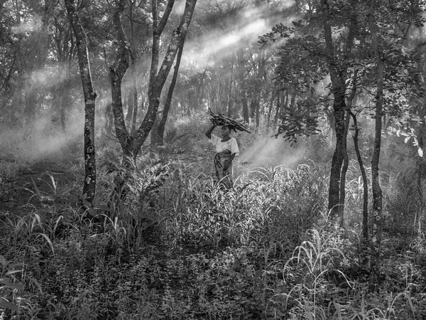 Jacob De Boer, Collecting Firewood, Tanzania 2015