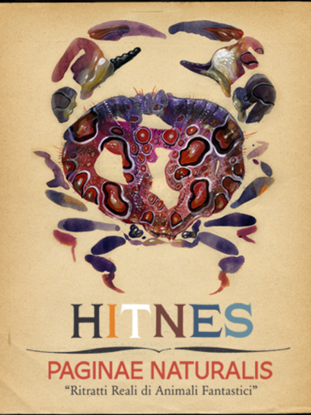 Hitnes. Paginae naturalis