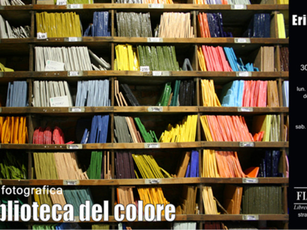 Erika Sereni. La biblioteca del colore, Libreria Fiaccadori, Parma