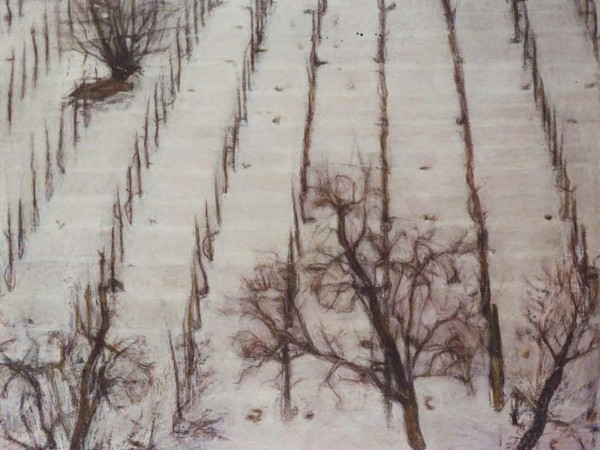 Bongiovanni Radice, La neve sul vigneto, 1966