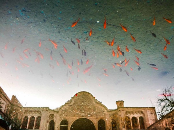 Marco Ferrari, I pesci volanti di Kashan,2014. Kashan, Iran