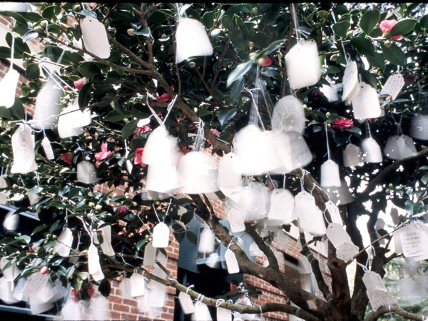 Yoko Ono, Wish Tree, 1996, veduta dell’installazione, Anderson Gallery, Richmond, Virginia, 1996