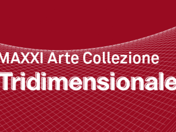 Tridimensionale, Fondazione MAXXI