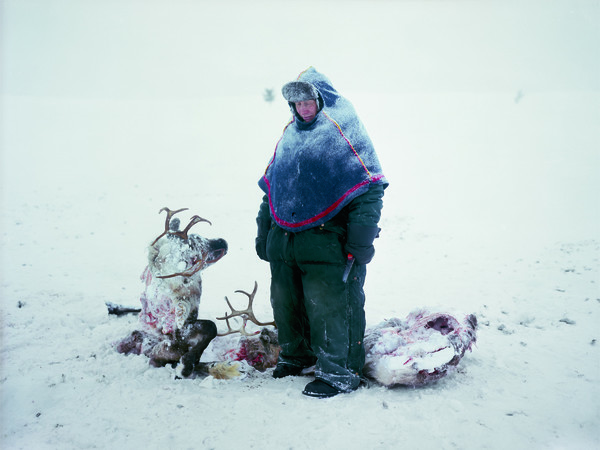 Erika Larsen, Sami, il popolo che sussurrava alle renne, novembre 2011. Gällivare, Svezia