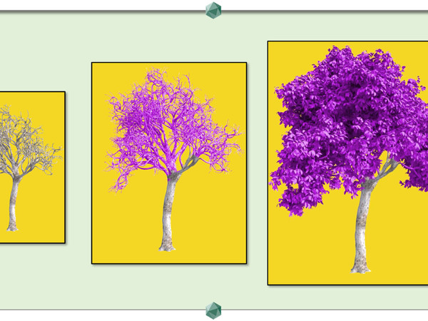 GreenLightProject, Acer Platanoides #1, 2022. Awakening