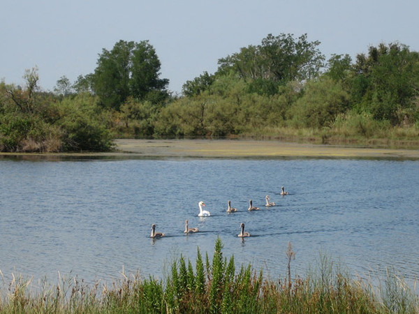 Riserva naturale della valle Cavanata