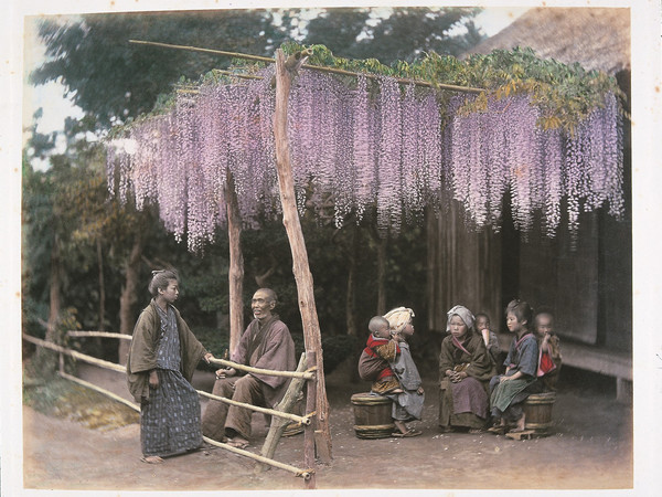 Adolfo Farsari, Pergola di Glicine