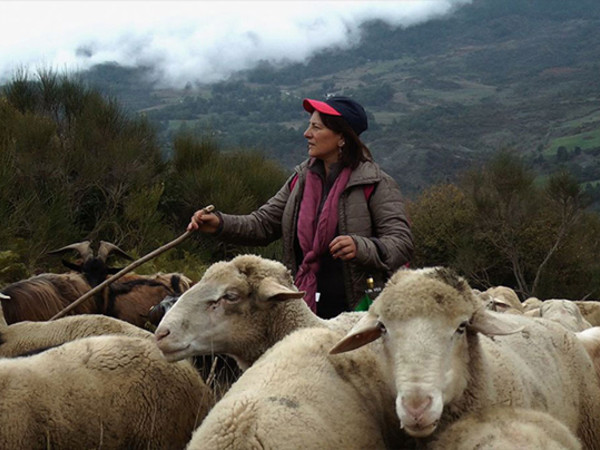 In questo mondo di Anna Kauber