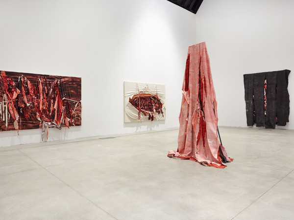 Anish Kapoor, MACRO - Museo di Arte Contemporanea di Roma