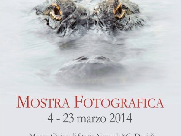 Oasis Photo Contest 2013, Museo di Storia Naturale "Giacomo Doria", Genova