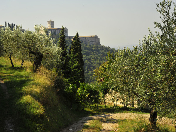 Bosco di San Francesco, Assisi (PG) I Ph. Maja Galli, 2009
