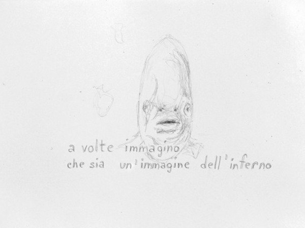 Altri sguardi. Tiziana Pers per Animot, Palazzo Barolo, Torino