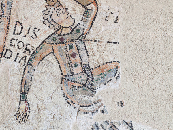 Colori, Immagini e Lettere: I mosaici pavimentali romanici di Pavia