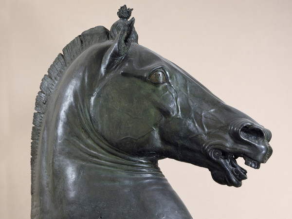 Donatello, Testa di cavallo, Bronzo, H 175 cm, Napoli, Museo Archeologico Nazionale, Dal Palazzo di Diomede Carafa