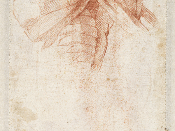 Michelangelo Buonarroti (1475 - 1564), Studio di una spalla (verso), 1515-1520, Gesso rosso, Senza cornice 27.8 x 18.9 cm, Haarlem, Museo Teylers, Acquistato nel 1790 | Immagini © Museo Teylers, Haarlem