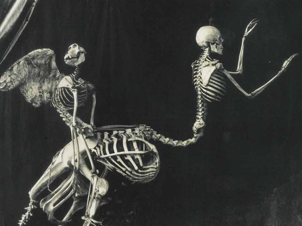 Peter Witkin, Cupid and Centaur in the museum of love, 1992