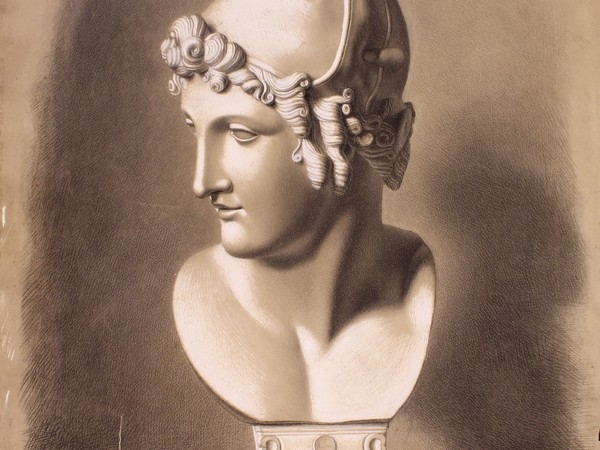Anonimo, Studio della testa di Paride di Canova (copia da gesso), 1872, matita e biacca su carta
