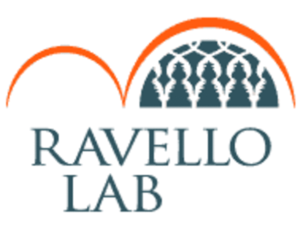 Ravello LAB 2013 - Colloqui internazionali. VIII Edizione