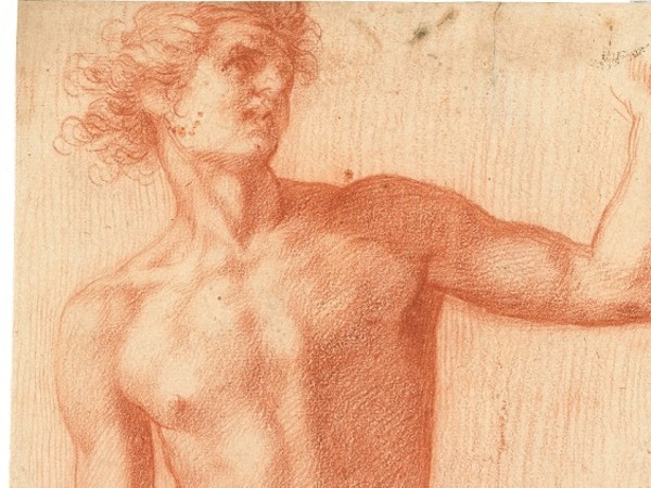 Baccio Bandinelli, Studio di nudo, ante 1512. Matita rossa. Parigi, Musée du Louvre, Département des Arts graphiques