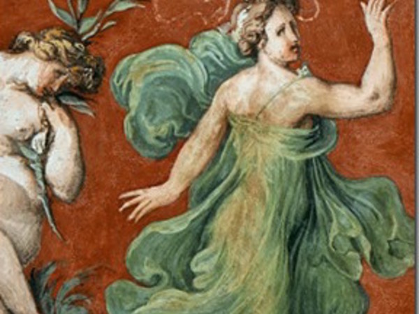 Miti e divinità femminili nella decorazione cinquecentesca di Palazzo Grimani